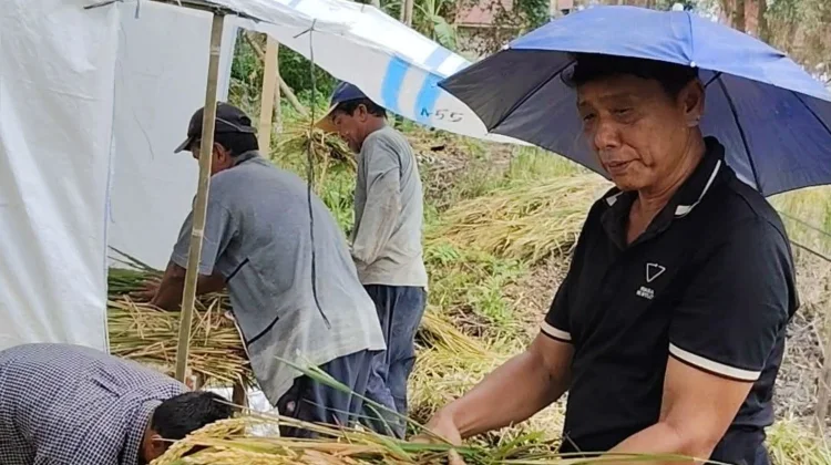Petani Tanjungbalai Ajak Warga Manfaatkan Lahan Terlantar