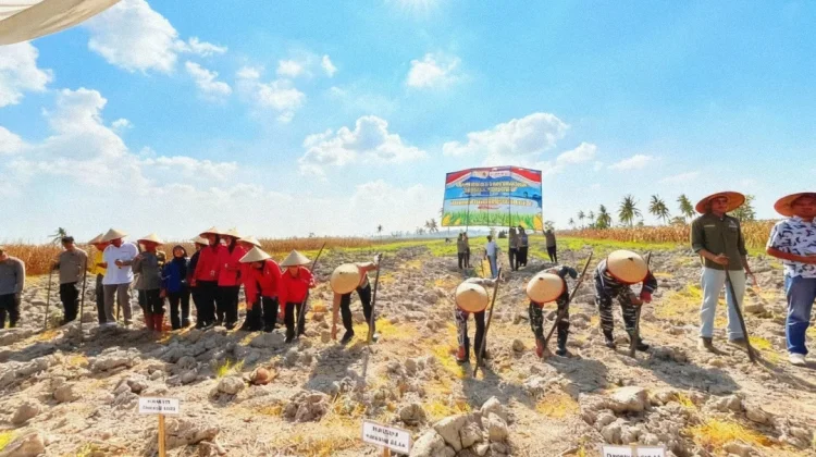 Polres Tanjungbalai Tanam Jagung Serentak