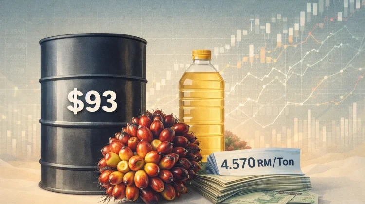 Harga Minyak Goreng Curah Naik, imbas Dari Kenaikan Harga Minyak Dunia