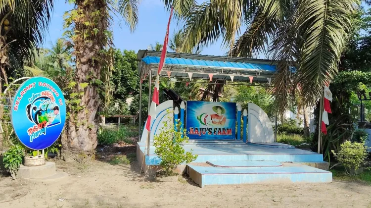 Rajuddin Kembangkan Kawasan Pertanian Raju’s Farm di Asahan