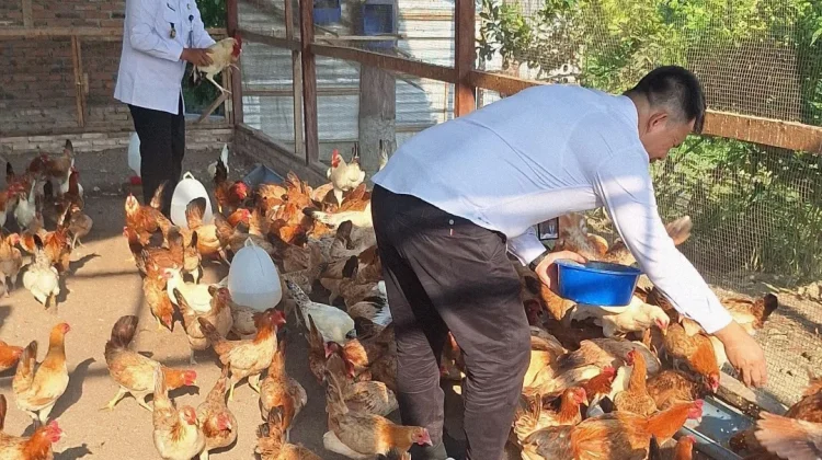 Kalapas Tanjungbalai Tinjau Peternakan Pastikan Berjalan Baik