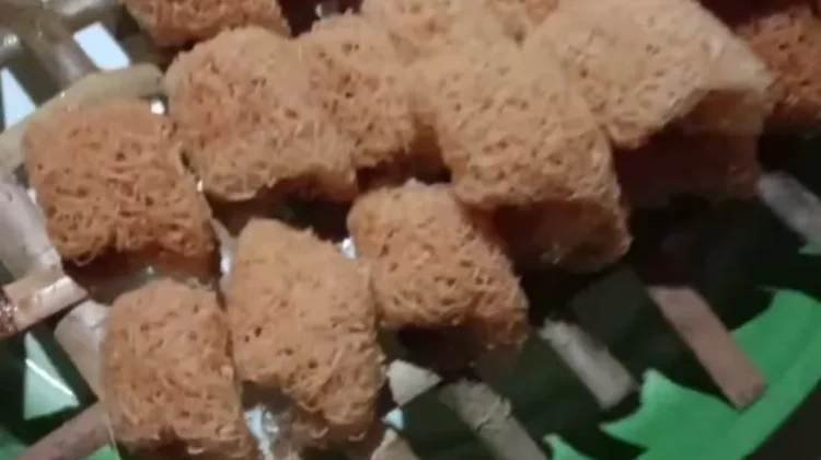 Kue Karas Khas Batu Bara Sajian Nikmat saat lebaran