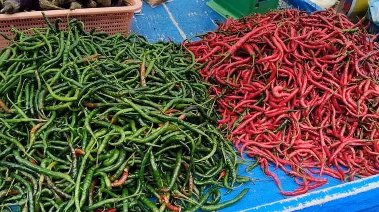 Harga Bahan Pokok di Medan Mulai Stabil, Cabai Turun Drastis