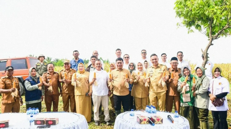 Produksi Saentis Jagung Meningkat, Wabup Tekankan Pentingnya Pendataan untuk Hil