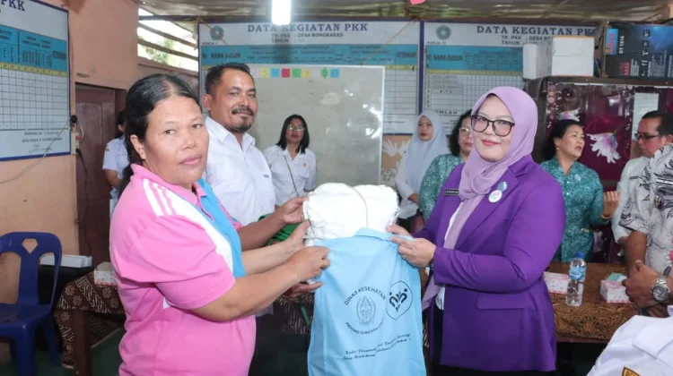 Tim Pembina Posyandu Dairi Pantau Posyandu Dan Serahkan Bantuan Di Desa Bongkaras