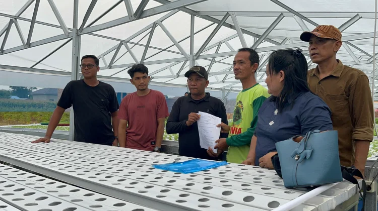 SPPG Yayasan Binar Bersama Hirasma Gandeng Petani Hidroponik Dukung Program MBG