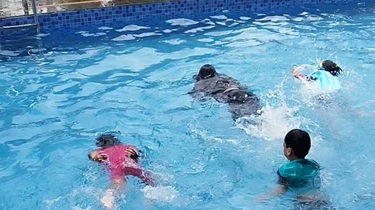Berikut Manfaat Berenang jika Rutin Dilakukan