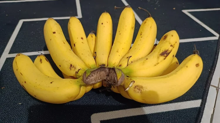 Selain Sumber Energi, Pisang juga Bantu Kurangi Mual saat Hamil