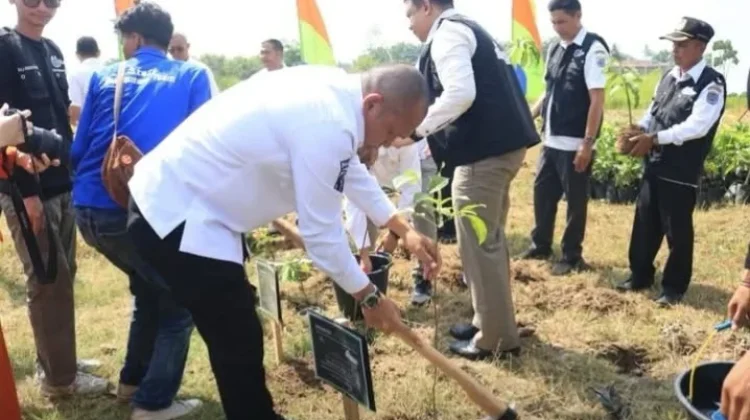 Pemko Binjai Dukung Program 1000 Jejak Hijau, Bumantara dan Bank Sumut