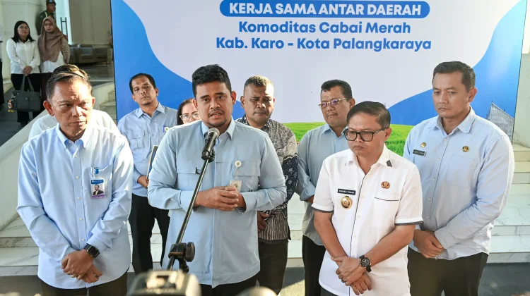 Tingkatkan Kesejahteraan Petani, Karo Kirim Cabai Merah ke Sejumlah Daerah
