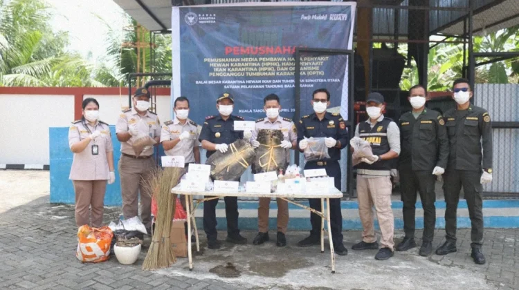 Ribuan Kulit Biawak dan Komoditas Ilegal Dimusnahkan
