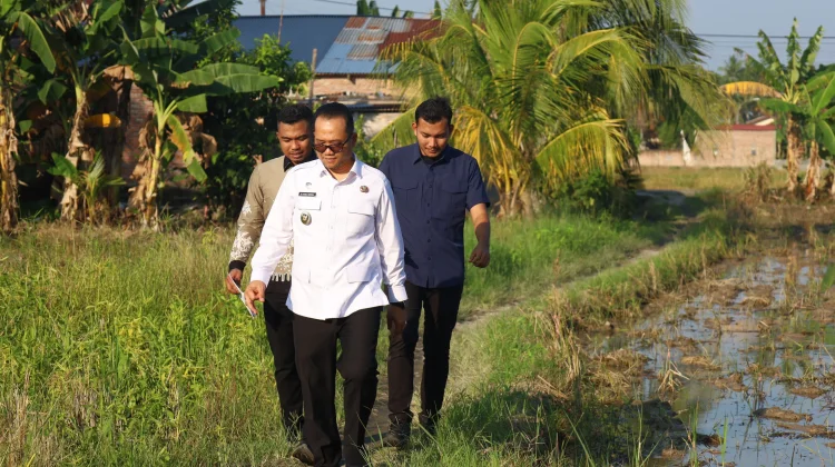 Pemkot Tanjungbalai Dukung Gerakan Tanam Serentak Nasional