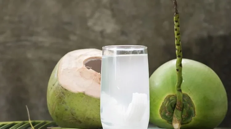 Minum Air Kelapa Setiap Hari: Sehat atau Sekadar Mitos yang Terlalu Dipercaya?