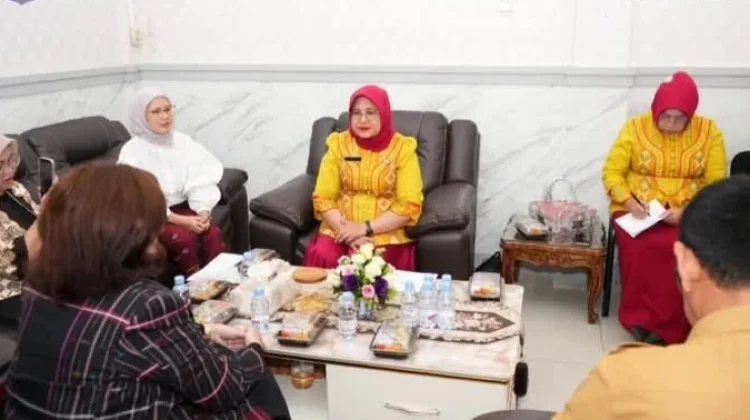 Dekranasda Kota Binjai dan APPMI, Bahas Peluang Kolaborasi Industri Kreatif