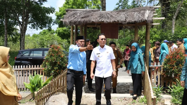 Bupati Tapsel Serahkan Bantuan Kolam Lele untuk PKK Desa Huraba