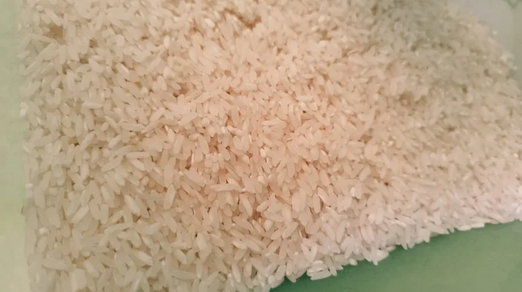 Trik Ampuh Mengusir Kutu Beras