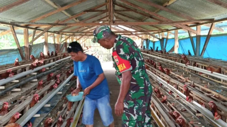 Babinsa Koramil 04/Tigalingga Sambangi Peternak