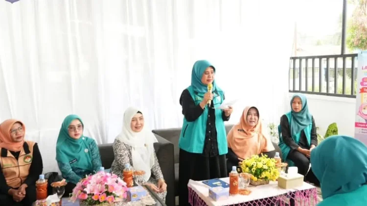 Pelayanan KB Serentak Semarakkan HUT IBI ke-75 di Kota Binjai