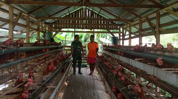 Babinsa Dorong UMKM dan Stabilitas Pangan Warga