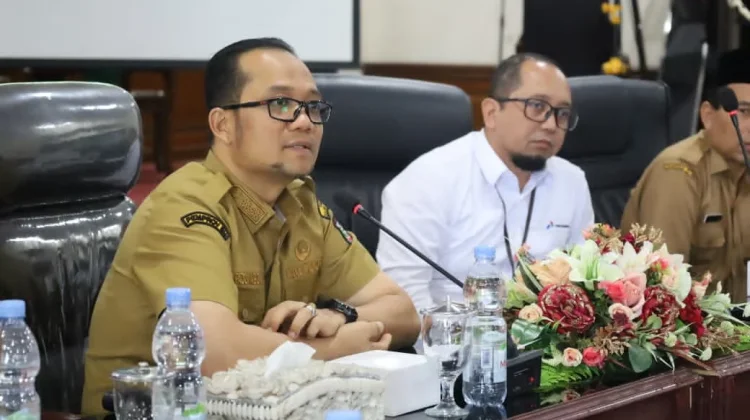 Fadly Dorong Sektor Rumah Tangga Gunakan Gas Bumi