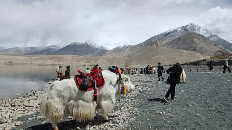 Mengunjungi Danau Baisha di Xinjiang, Nikmati Keindahan Alam Dataran Tinggi Pamir