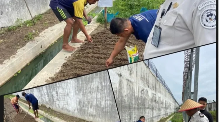 Dukung Ketahanan Pangan, Lapas Bersama WBP Tanjungbalai Asahan Tanam Sayur