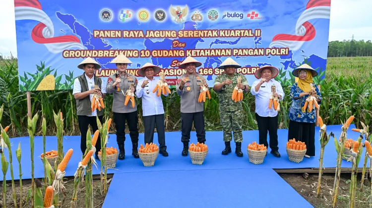 Panen Raya Jagung Serentak, Presiden Tekankan Pentingnya Swasembada Pangan