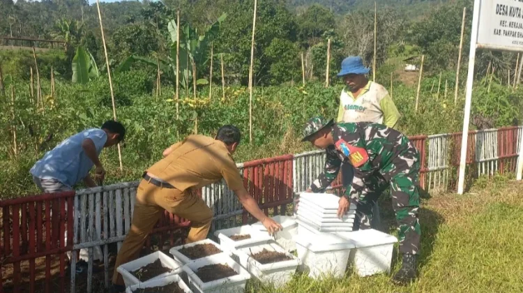 Babinsa dan Kades Kompak Siapkan Kebun TOGA di Kantor Desa