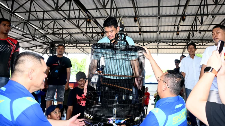 Bobby Nasution Dorong Sumut Jadi Pusat Kicau Mania Nasional