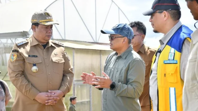 Pemkab Samosir Optimistis Jadi Sentra Bawang Putih