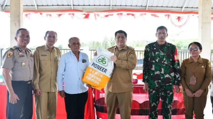 Pemkab Samosir Salurkan Bantuan Bibit Jagung
