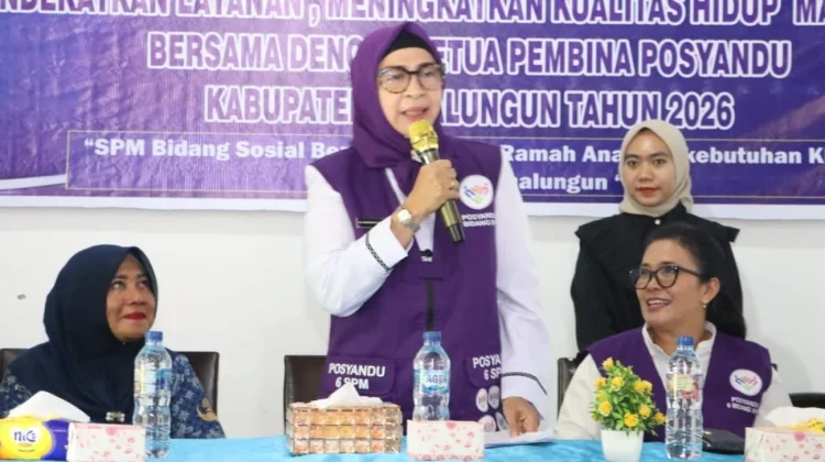 TP Posyandu Simalungun Sosialisasikan Transformasi Layanan