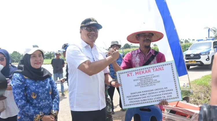 Tanam Cabai di Sunggal, Bupati Tindaklanjuti Keluhan Petani Soal Irigasi