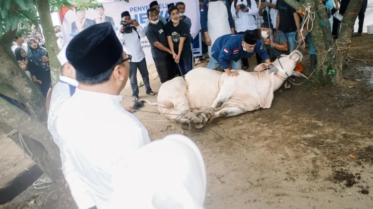 Pemkab Dari Serdang Sembelih 54 Sapi dan 5 Ekor Kambing