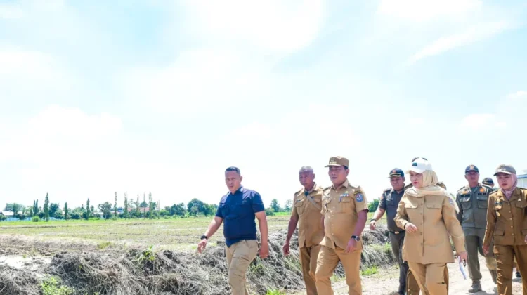 Pemkab Deli Serdang Manfaatkan Kawasan Sport Center Dukung Ketahanan Pangan