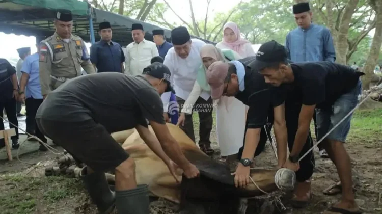 Pemkab Asahan Sembelih 101 Hewan Kurban