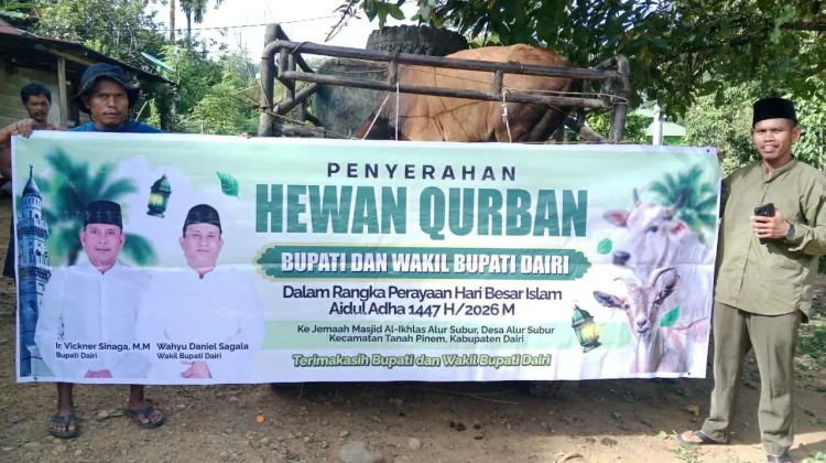 Bupati dan Wabup Dairi Serahkan Hewan Kurban untuk Masjid Al-Ikhlas Alur Subur