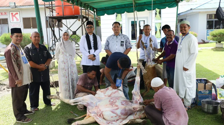 Dana Swadaya ASN Tanjungbalai Hasilkan Belasan Sapi Kurban