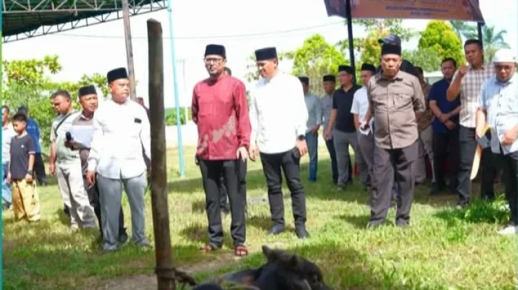 Pemkab Labusel Sembelih 56 Hewan Kurban, Wujud Kepedulian dan Kebersamaan