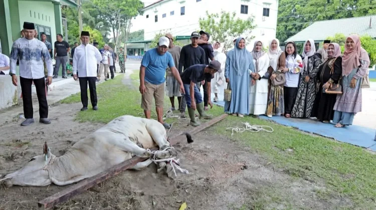Kodim 0208 Asahan Sembelih 5 Ekor Hewan Kurban