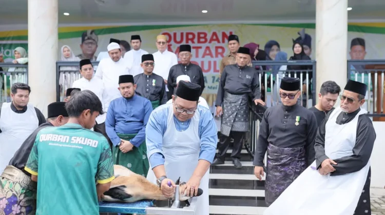 Kejuruan Metar Bilad Deli XI Catat Sejarah, 5.000 Hewan Kurban Pecahkan Rekor Asia