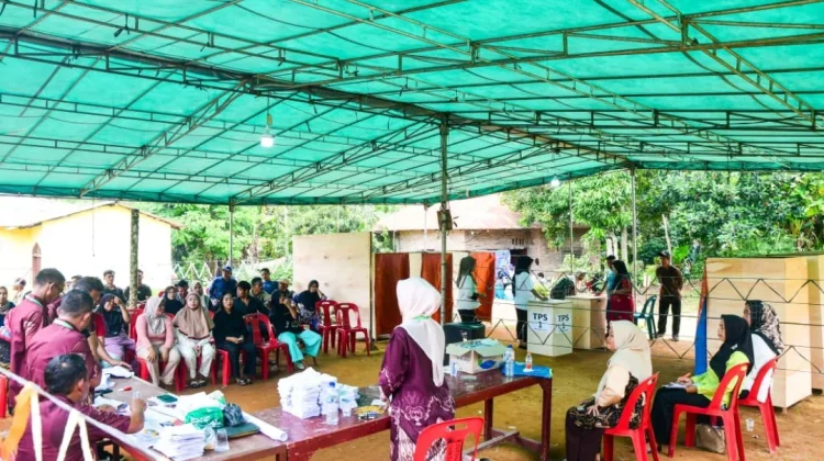 Sebanyak 212 Calon Ikuti Pilkades Deli Serdang