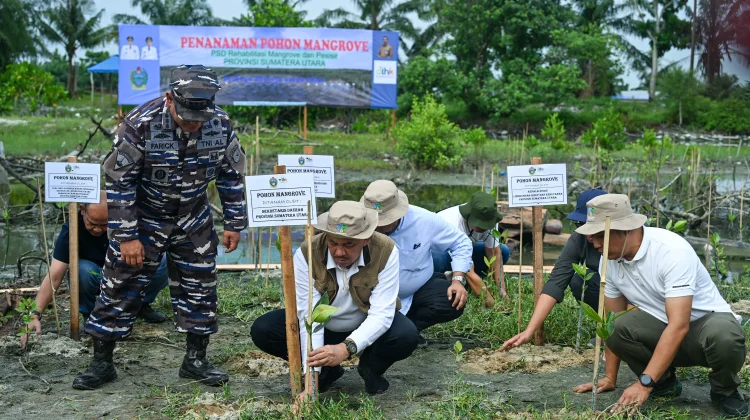 Penanaman Pohon dan Mangrove Diharapkan Jadi Solusi Hadapi Perubahan Iklim