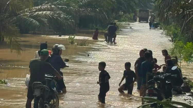Banjir Tiga Kecamatan di Langkat Surut, BPBD Siapkan Skenario Dini