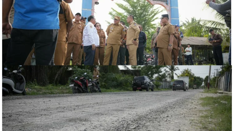 Bupati Tinjau Lanjutan Pengaspalan Jalan Paluh Gelombang Percut Sei Tuan
