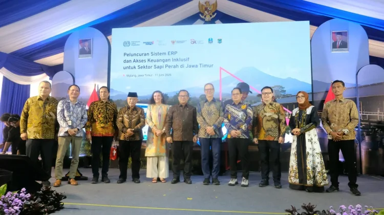 OJK–ILO Dorong Inklusi Keuangan Peternak Sapi Perah