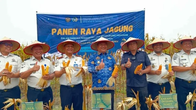 Ikuti Panen Raya Jagung, Wabup Asahan Apresiasi