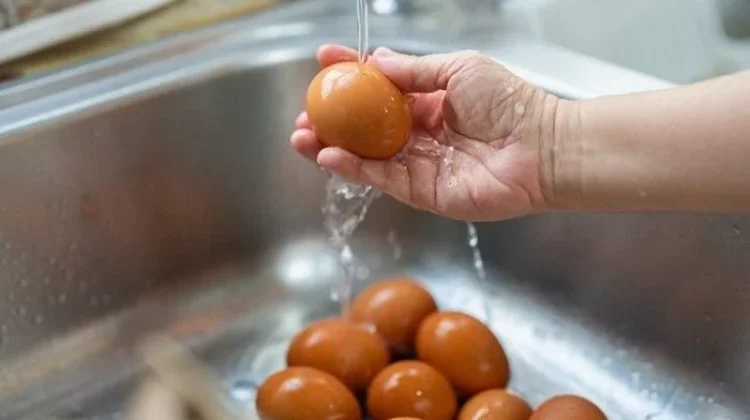 Kenapa Telur Tidak Boleh Dicuci sebelum Disimpan?"