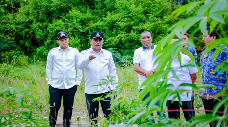Pemkab Sergai Targetkan Pasar Hewan Terintegrasi 2026
