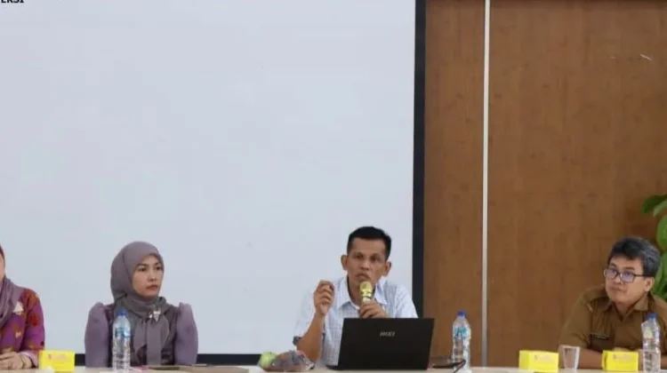 Diskusi Ilmiah Pemko Binjai dan UNPAB: Gen Z dalam Transformasi Ekonomi Digital